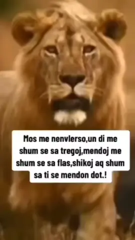 #nëkëtëditë 