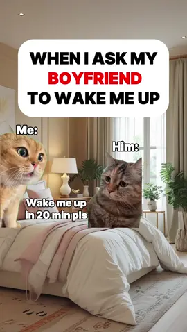 When I ask my boyfriend to wake me up #cat #catsoftiktok #couple #couplegoals 