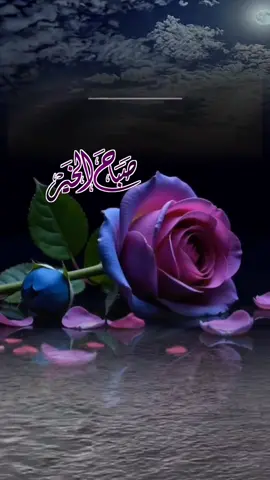 «أفضلُ الذكر: لا إله إلا الله، وأفضلُ الدعاء: الحمد لله» 🌹🌿#صباحكم_سعاده #اللهم_بك_اصبحنا #اصباحنا_و_اصبح_الملك_لله #اذكروا_الله_يذكركم #الابذكر_الله_تطمئن_القلوب #صلوا_عليه_وسلموا_تسليما #عليه_الصلاة_والسلام #صباح_السعادة #صباح_تفاؤل #صباح_الحب #صباحكم_أحلى_صباح #صباح_الورد #صباح_الخير 