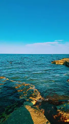 #море 