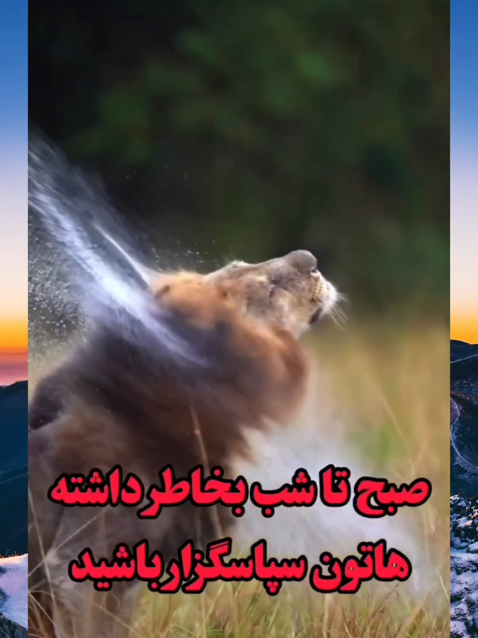 قوی‌ترین فرکانس جهان: شکرگزاری ✨ شکرگزاری، پلی است که تو را مستقیم به نعمت‌های بی‌پایان خداوند وصل می‌کند. 💫 هر لحظه که شکر می‌کنی، در فرکانسی قرار می‌گیری که همه چیز را برایت آسان می‌کند. 🔑 راز بزرگان همین است: فرکانس شکرگزاری = نزدیک‌ترین مسیر به خداوند و تحقق خواسته‌ها. امروز ۳ چیز را که بابتشان شکرگزار هستی بنویس… و ببین چطور زندگی‌ات تغییر می‌کند. #شکرگزاری #فرکانس_نعمت #عباسمنش #سیدحسین_عباسمنش #قانون_جذب #موفقیت_ذهنی #قدردانی #انرژی_مثبت #باورسازی #جذب_نعمت #آرامش_درون #خدا #شکر_نعمت