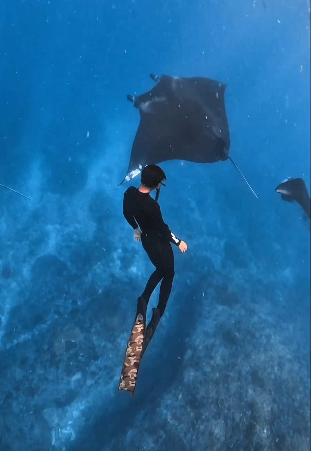 unlimited dopamine 🧜🏻‍♂️ 📍Manta Point, Nusa Penida - Bali #freedive #freediving #nusapenida #mantapoint #bali #underwater 