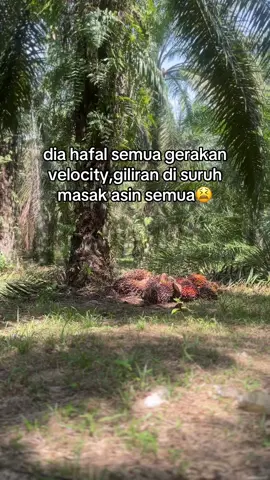 payah”🤣#fyp 