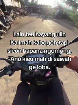 aringgis haha #fypp #katakatasunda #lewatberanda #stroysunda #sundapride #4u #fyppppppppppppppppppppppp 