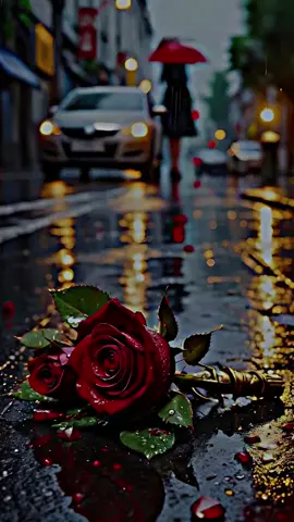 #احزاني_لن_ولم_تنتهيdeaa💔🥺 #الماضي_كان_جميل_لكنّه_مضى #sayarilover #sayari #تصميم_فيديوهات🎶🎤🎬 #لايت_موشن_تصميمي #ستوريات 