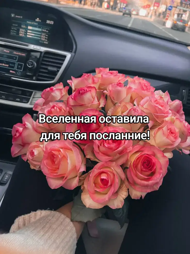 #магиятаро #рекомендации #тарооасклады #тароонлайн #таро 