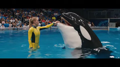 Message me on my number mentioned in bio 🥰  #foryoupage #orcas #trending #foryoupage