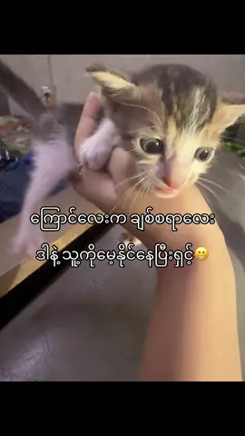 #burma🇲🇲 #fyppppppppppppppppppppppp #tiktok #moots #foryouok 