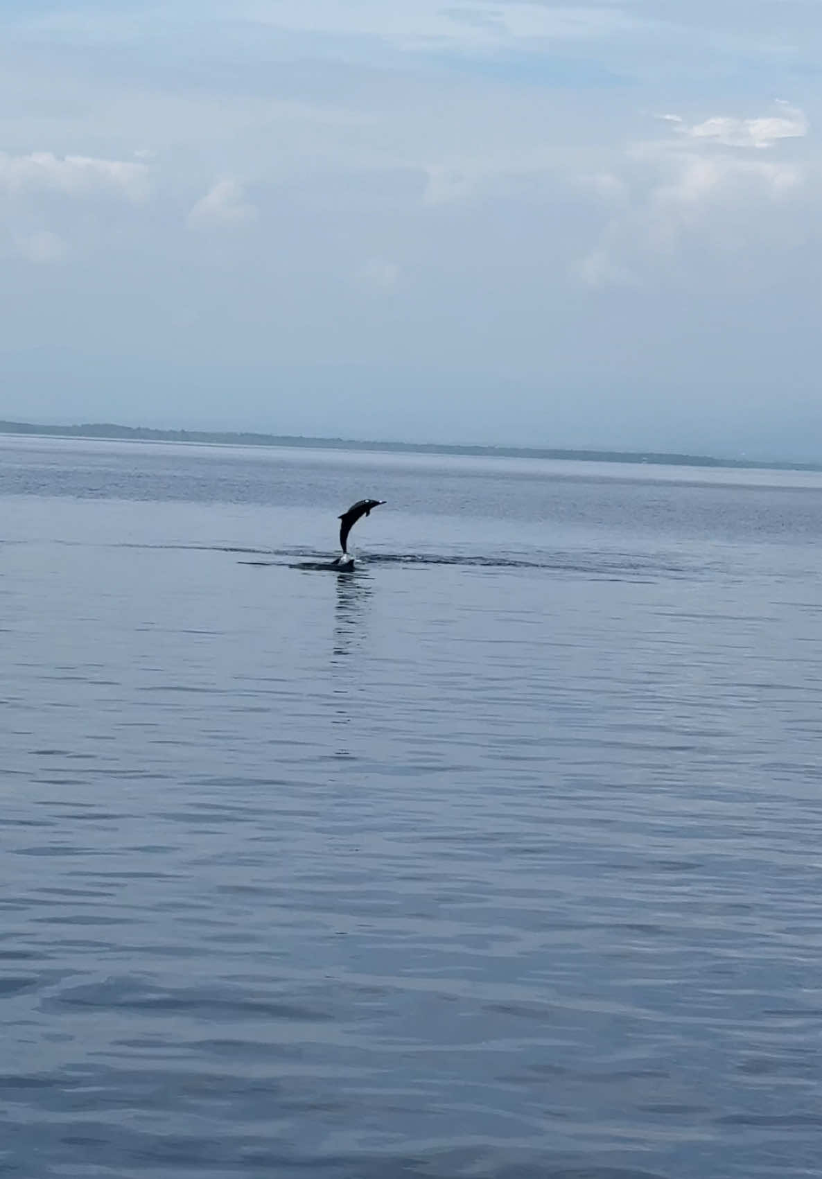 Dolphin watching 🐬🐬 #Manjuyod #Sandbar #DolphinWatching #Fyp 