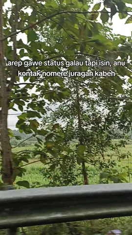 status galau nek diwaca juragane mbok terus dijak umroh, kan dadi rikuh inyong..  #ngapaktraveller #ngapak #travelling #jalanjalan #parody #katakata #morningfresh #pegunungan #kebumen 