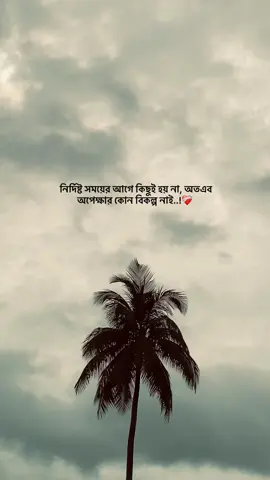 #foryoupage #viraltiktokvideo #trending #1millionviews 