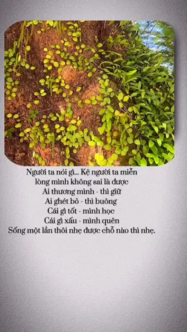 Người ta nói gì... Kệ người ta miễn lòng mình không sai là được Ai thương mình - thì giữ Ai ghét bỏ - thì buông  Cái gì tốt - mình học  Cái gì xấu - mình quên Sống một lần thôi nhẹ được chỗ nào thì nhẹ.