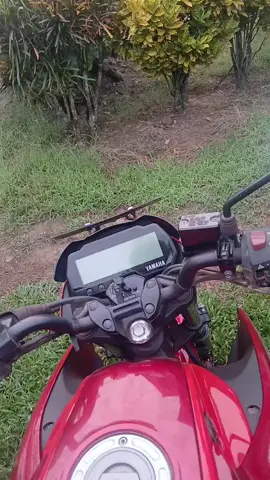JARENE HARI LIBUR NASIONAL KOK DI GANTI CUTI BERSAMA SIH HADEUHHH
