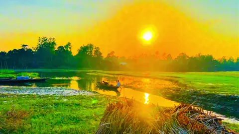 মানুষ হতে গেলেই ঝামেলা,অমানুষের কোন দু্ঃখ থাকে না....😅❤️‍🩹🌿#viral #foryou #foryoupage #videography #viral_video_tiktok #naturelover #greenscreen #unfrezzmyaccount #প্রকৃতি #sky 