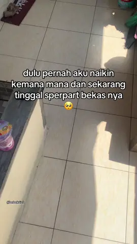 #fizr #bebekgoreng #twostroke 