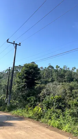 Bandar Lampung ke barat dikit☺️ #lampunggeh #lampungpride #lampungtiktok #lampung #mountain #suasanadikampung #suasanadesa #suasanapedesaan #tanggamus #tanggamus_lampung #tanggamuslampung 