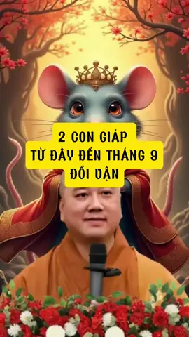 2 con giáp từ đây đến tháng 9 đổi vận #phongthuytamlinh #tailocmayman #12congiap #tuvi12congiap #tuoity#xuhuong 
