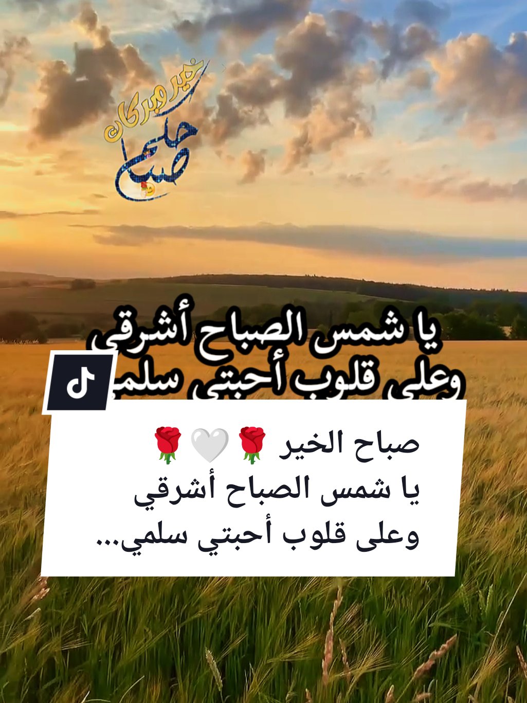 #creatorsearchinsights صباح الخير 🤍🌹☕ يا شمس الصباح أشرقي وعلى قلوب أحبتي سلمي... #souzan396  