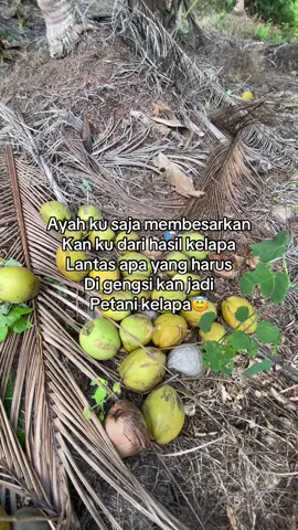 Ngapain harus malu kan😇 #🌴🌴🌴🌴 #petanikelapa🌴🌴 #petanimuda #xybcza #impiankitabosmuda #bosmuda #petaniindonesia🇮🇩🇮🇩🇮🇩🌿🌿 