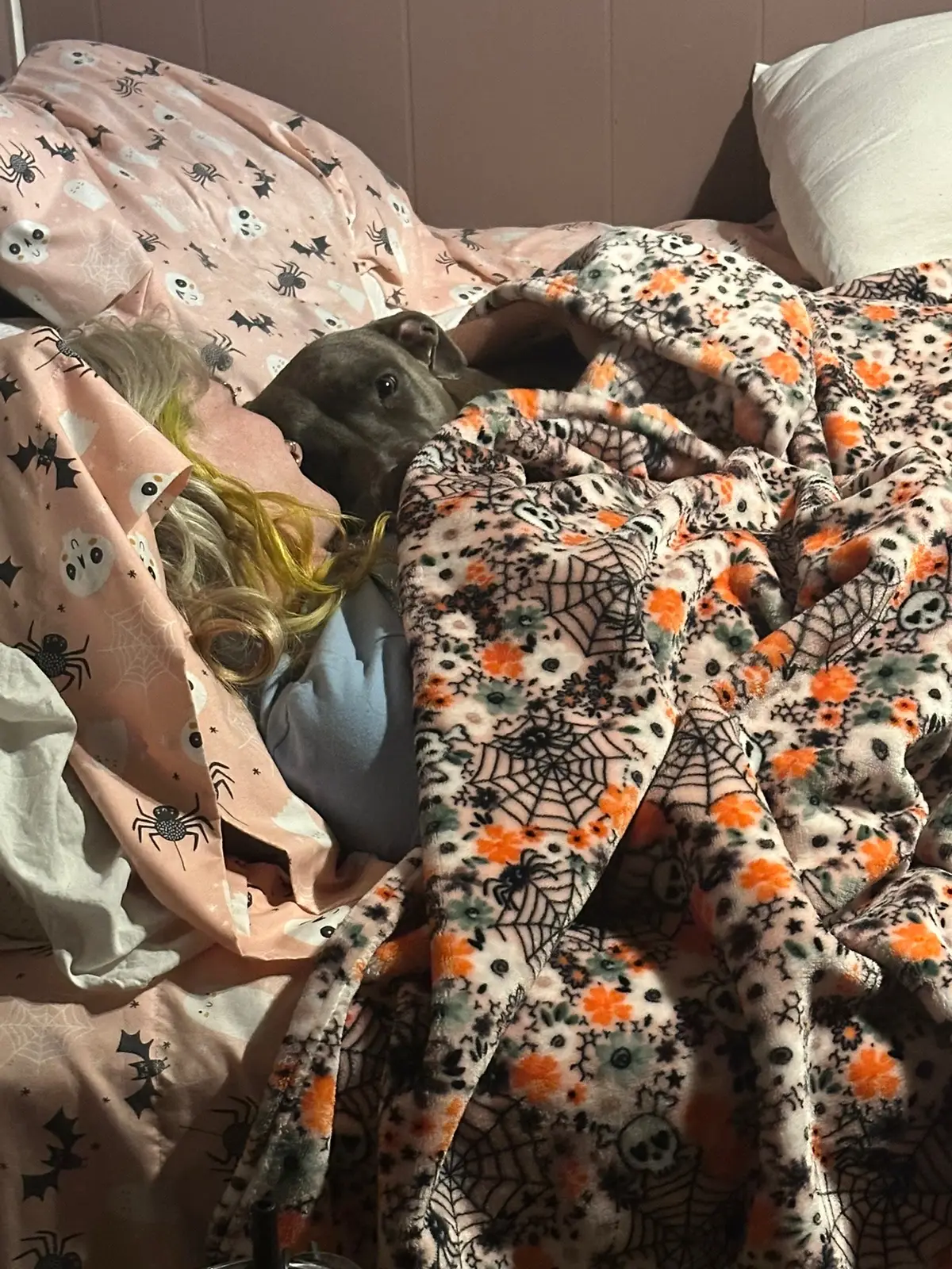 #souldog 