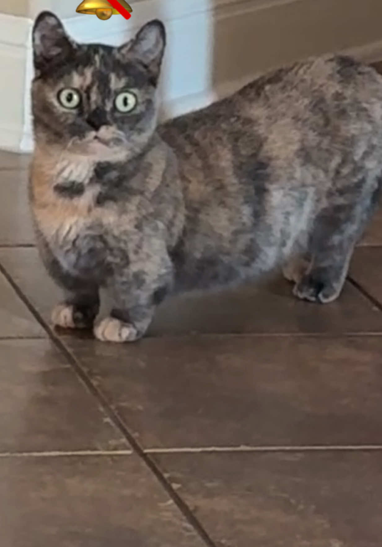 Her toes🥲