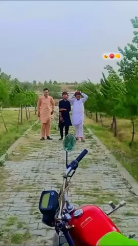#hajishahbrand🥰🌹🌻🌺 #😊😍🌷🌹😘🥳 #olebrandselect #😊😍🌷🌹😘🥳 #hajishahbrand🥰🌹🌻🌺 
