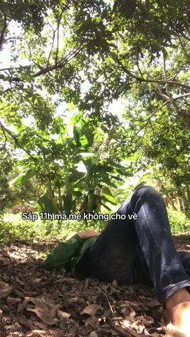 Chán mẹ quá #thelam🌲 