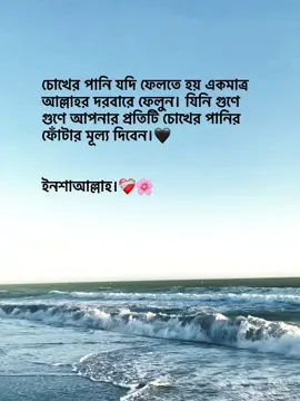 চোখের পানি যদি ফেলতে হয় একমাত্র আল্লাহর দরবারে ফেলুন। যিনি গুণে গুণে আপনার প্রতিটি চোখের পানির ফোঁটার মূল্য দিবেন।🖤 ইনশাআল্লাহ।❤️‍🩹🌸 #foryoupage #foryou #fypage #goviral #trending @TikTok Bangladesh 