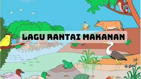 Lagu Rantai Makanan Kelas 5 #kurikulummerdeka #deeplearning #kelas5 #icebreaking #IPAS #PPG #UKIN  #CapCut 