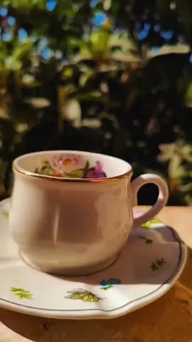 #صباحو #صباحكم_سعادة_لاتنتهي #قهوةبالحب☕♥️ #فيروز #فيروز_وفنجان_قهوة #الهاشتاقات_للشيوخ #الشعب_الصيني_ماله_حل😂😂 
