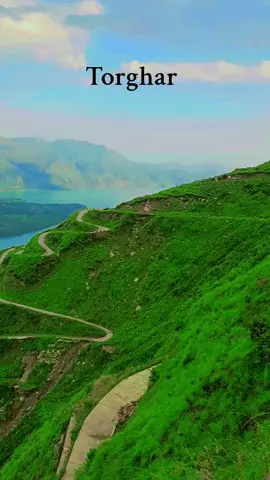 #creatorsearchinsights #foryoupageofficiall #Torghar #MeraMadakhail 