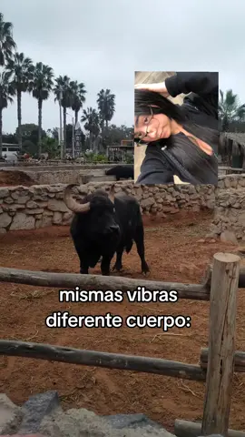 es que ella animal ya es. 🤑👌 @Gio🤍 #paratiiiiiiiiiiiiiiiiiiiiiiiiiiiiiii #fyp #foryoupage #foryou #fy 