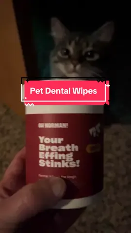 #ohnorman #teethwipes #petcare #dogs #cats #dentalcare #petdental #health #easy 