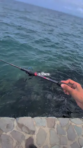 🎣🪼🌊