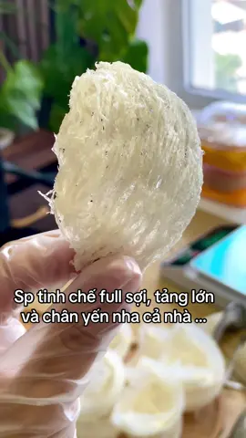 #yensao #tinhche #yentinhche #kinhdoanhonline #yenchungtuoi #yenchung 