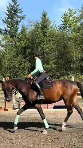Thank you to the best little mare for making an infinitely braver and more confident rider out of me the last few weeks🫶