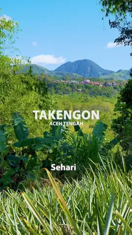 Ternyata Serat Nanas Banyak Manfaatnya ya #nanas #takengon #gayo #kopi 