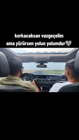 🕊️