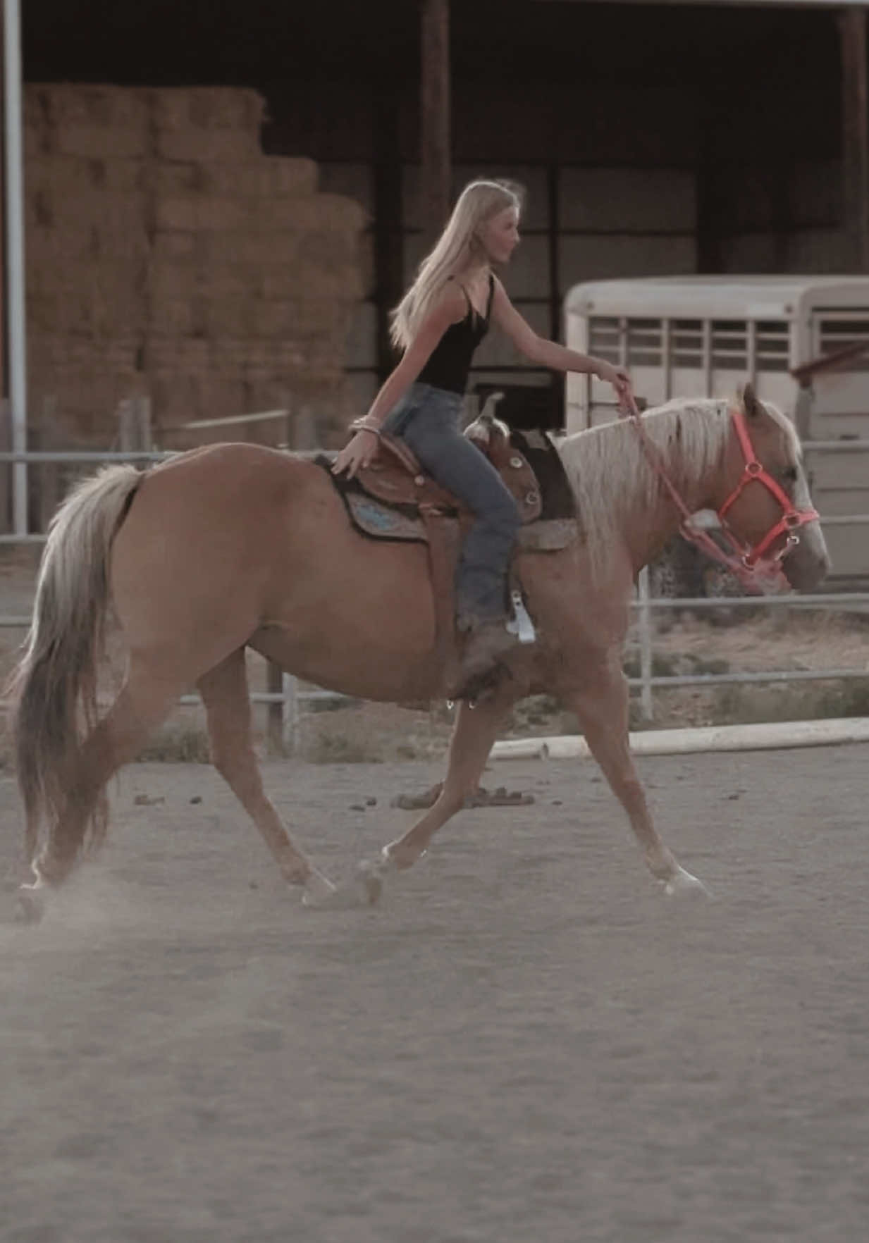 i didn’t realize how high up my pad was sorry Barbie I feel bad😣 anywho someone trailer there horse to my barn cuz Barbie needs to get used to riding w other horses on trails & im lonely 🥳 #emilyandbarbie #jokerandemily #barrelracing #fypシ #fyppppppppppppppppppppppp #builtnotbought #selfteaching 
