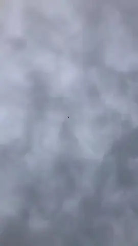 jio Kabootar Baaz 
