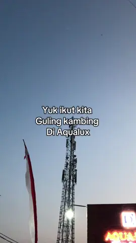 #kambinggulingkudus #rekomendasikambingguling #kambinggulingmurahkudus #kambingguling #kambinggulingkudus 