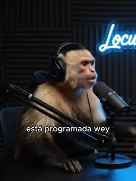 A ver si no nos ponen en modo silencio #podcastia #locuracapuchina