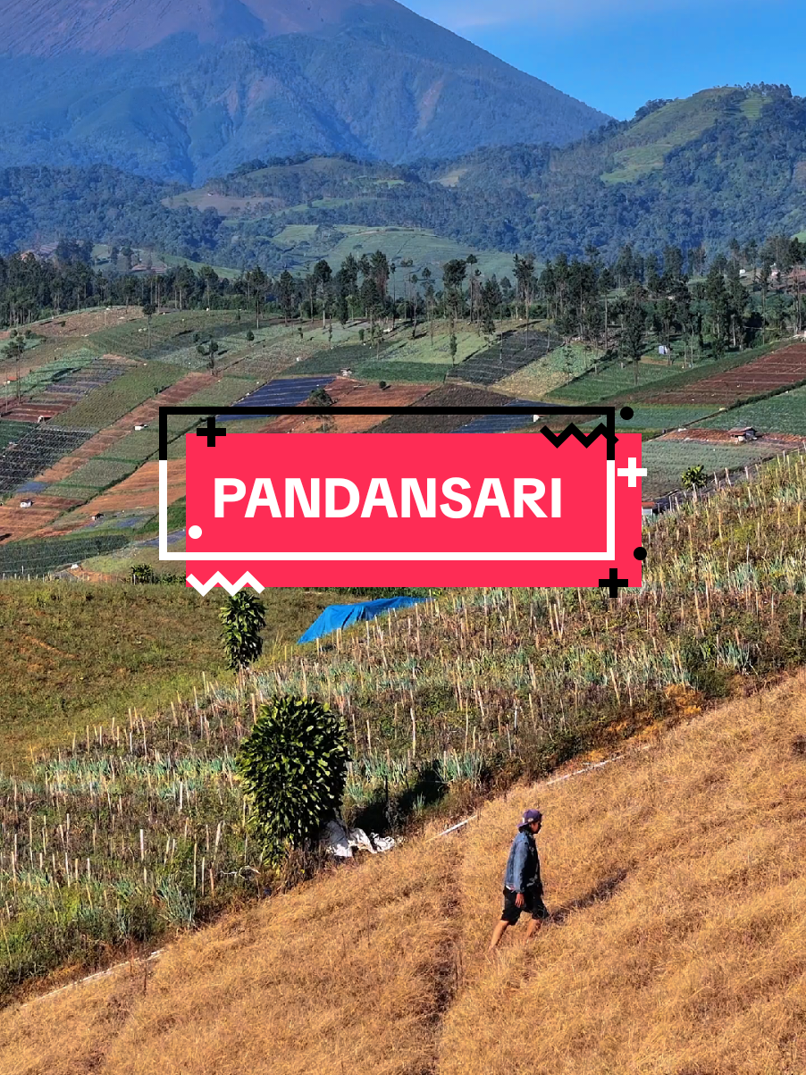 Brebes Bagian Premium #pandansari #kaligua #fyp 