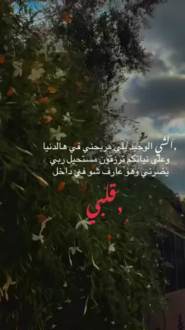 الشي الوحيد يلي مريحني في هالدنيا 🥀وعلى نياتكم ترزقون 🥀 مستحيل ربي يضرني وهو عارف شو في داخل قلبي