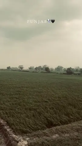 PUNJAB💀🐎#foryoupage #viral #danser_bala_01 #trending #viral_video #forypupage #tiktok 