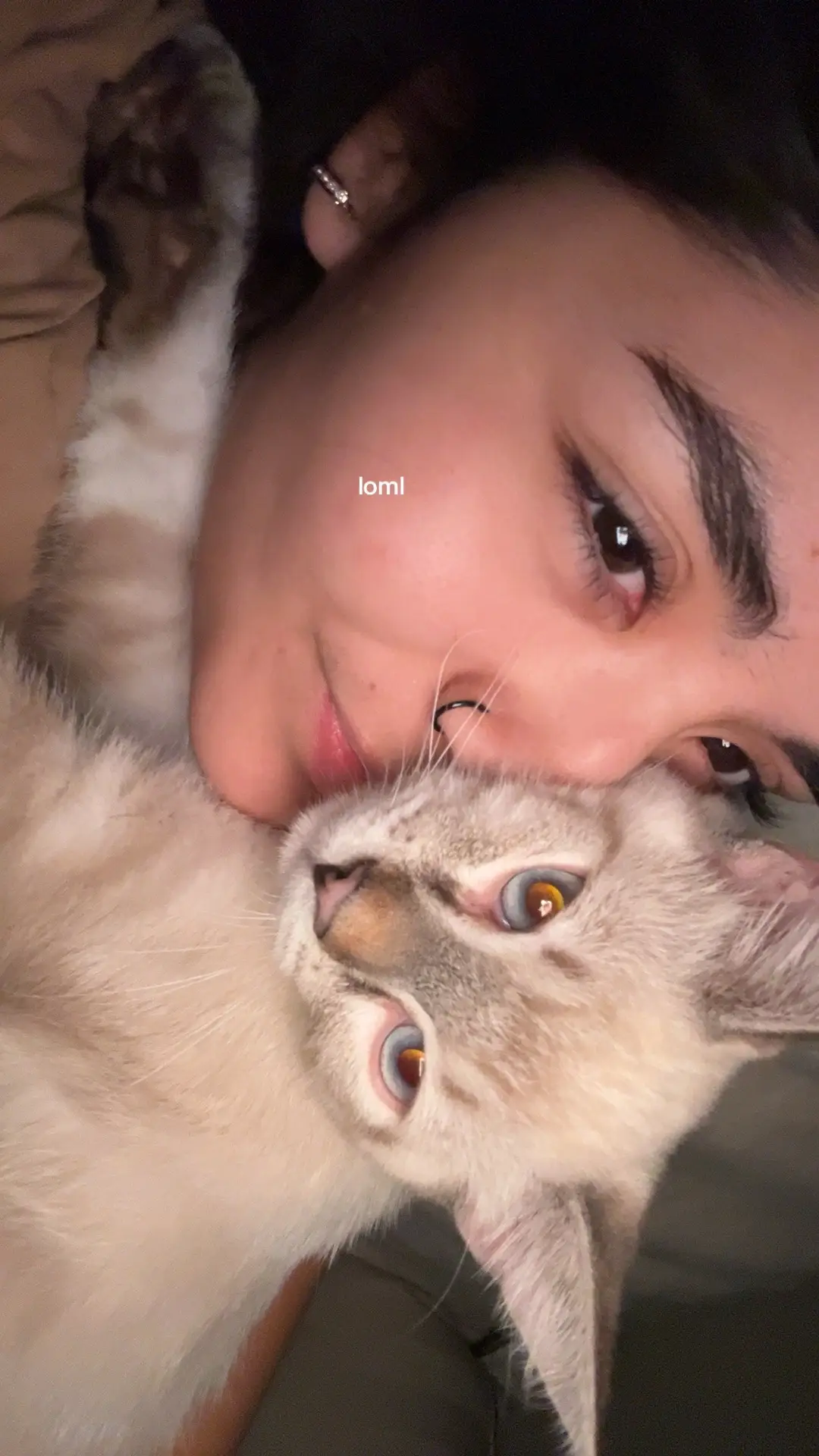 hehe I love my sweet baby astor 💕💕 #catowner #animallover #az #siamese #ragdoll #catsoftiktok 