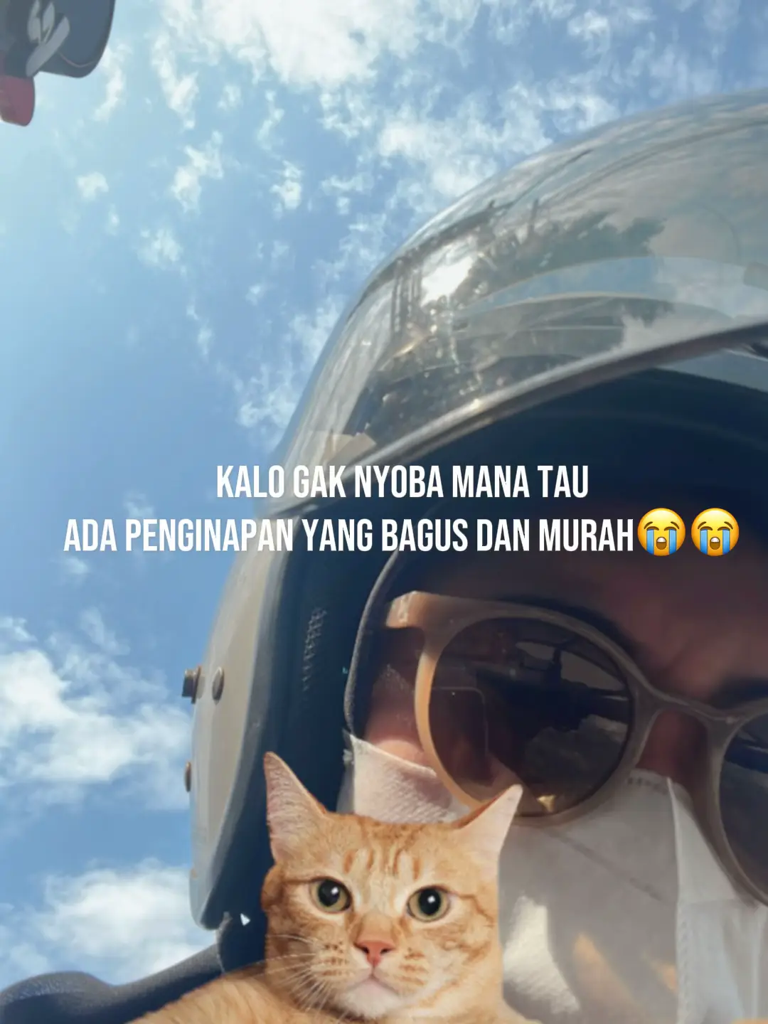 📍Camp De Katarina  #liburan #penginapanmurah #bogor #puncak 
