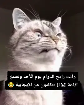#اكسبلور #fyp #foryoupage #foryou #ترند #الشعب_الصيني_ماله_حل😂😂 #ضحك 