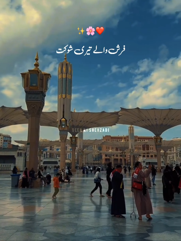 #کچھ بشر ہونے کے ناطے تجھے خود سا جانیں❤✨#اللہ #نعت_رسول_اللہ_صلی_اللہ_علیہ_وسلم #fyp #foryoupage #trending #viralvideo #ummatimuhammadsaw @GMRanjha 