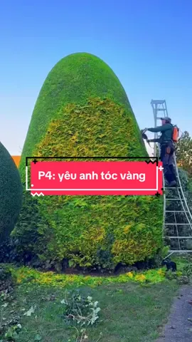 Phần 4: yêu anh chàng tóc vàng lêu lổng #fyb #foryou #truyenaudio #truyenngontinh #meoluoi #xhuong 
